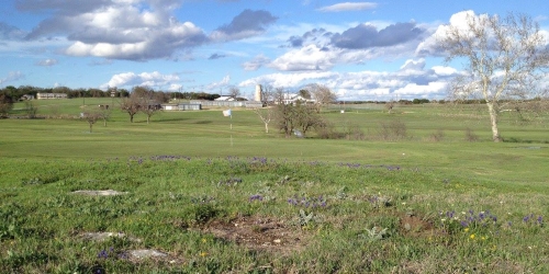 Bluebonnet Country Club