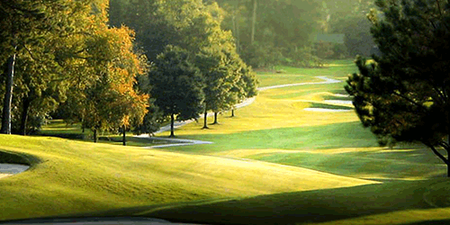 Country Club of Salisbury