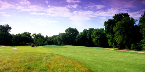 Lake Arlington Golf