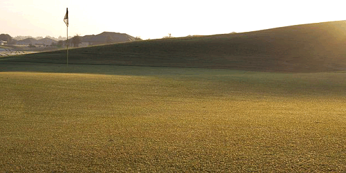 Black Bear Golf Club