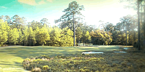 Chechessee Creek Club