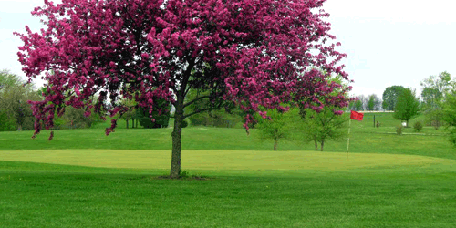 Country Hills Golf Course