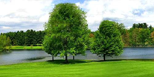 Golf Club of Avon
