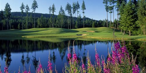 Gold Mountain Golf Course - The Olympic Minnesota golf packages