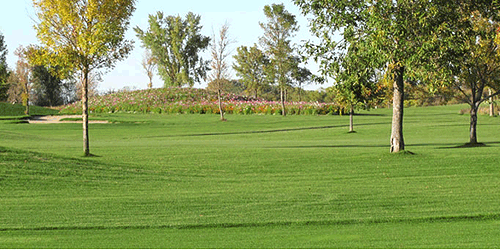 Stoney Creek Golf Course