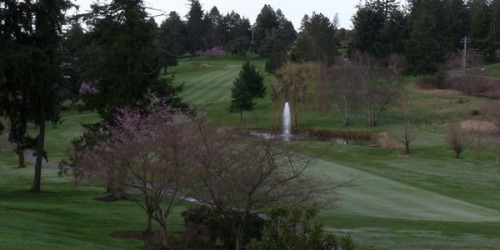 Useless Bay Golf & Country Club