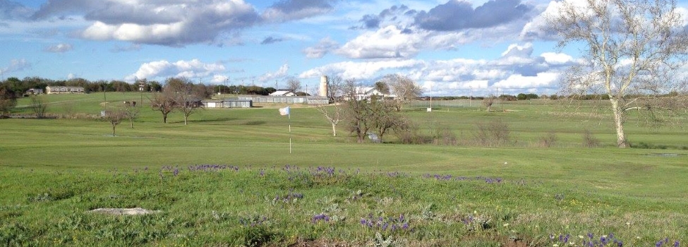 Bluebonnet Country Club