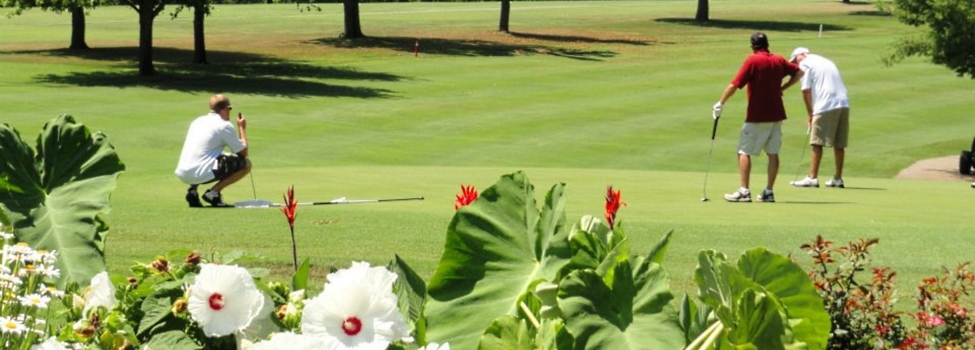 Dogwood Hills Golf Resort