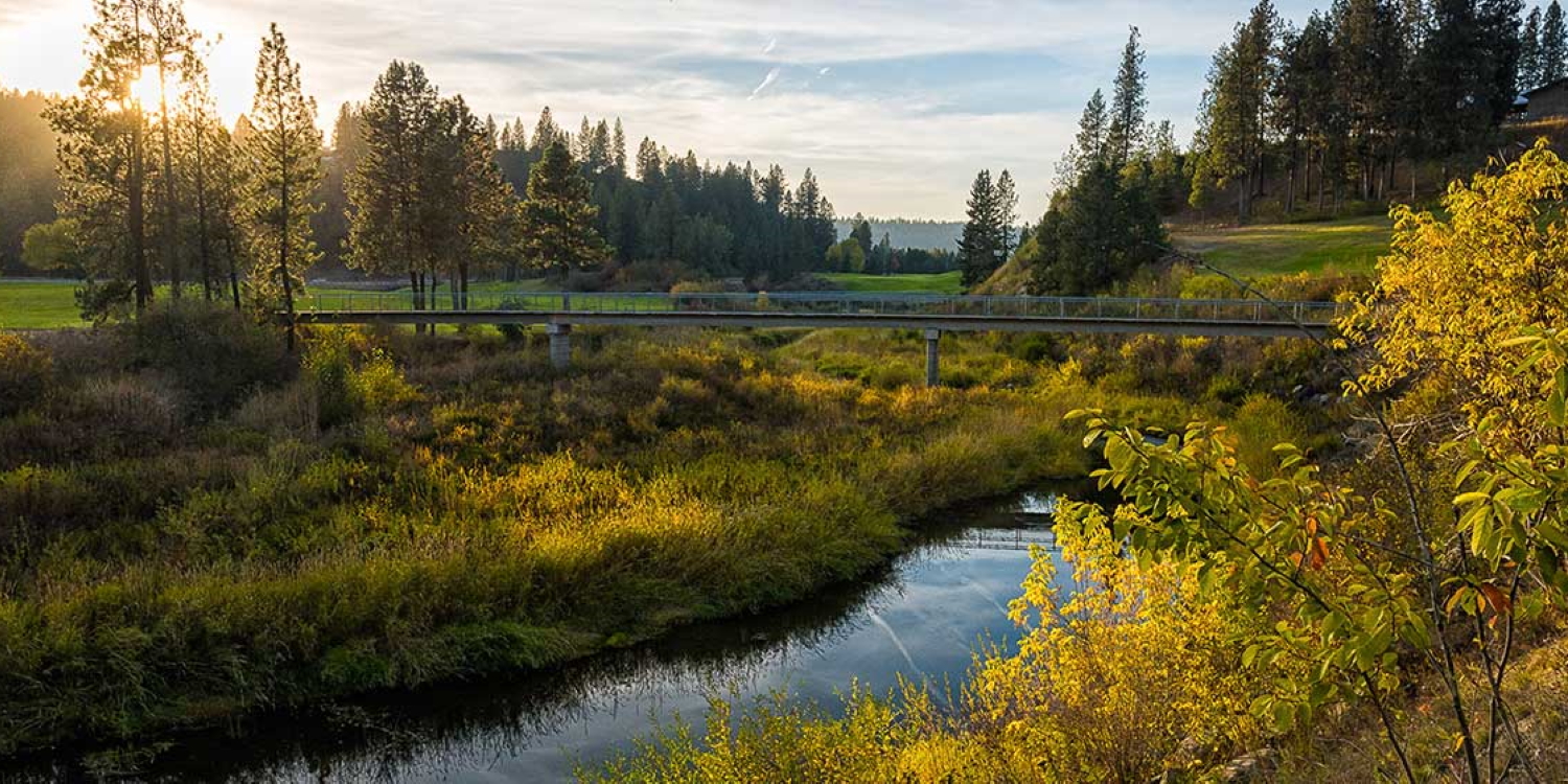 Creek at Qualchan